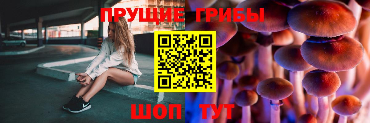 Аша  Псилоцибиновые грибы прущие грибы  Вход с VPN 